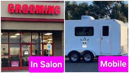 AAA mobile dog Grooming and Salon — mobile dog grooming services in Mesa, Arizona rated 4.8 stars with 89 reviews