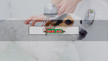 Aimee's Bark Ave Mobile Grooming — mobile dog grooming services in Glen Burnie, Maryland rated 4.5 stars with 36 reviews