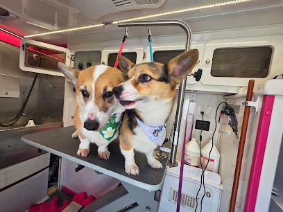 Aj's Furry Friends Mobile Pet Grooming (Northwest Indiana) — mobile dog grooming services in Portage, Indiana rated 5.0 st...