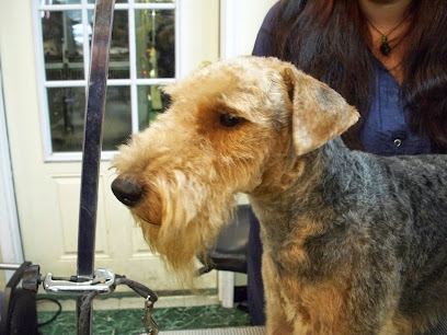 Bonnie's Dog & Cat Grooming — mobile dog grooming services in Washington, Washington rated 4.3 stars with 197 reviews