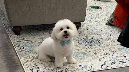 Clip N Clean Mobile Pet Grooming — mobile dog grooming services in Winter Garden, Florida rated 4.4 stars with 20 reviews