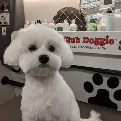 Club Doggie Mobile Grooming Salon — mobile dog grooming services in Phoenix, Arizona rated 4.4 stars with 30 reviews