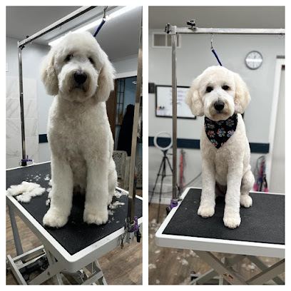 Dapper Dog LLc — mobile dog grooming services in West Bend, Wisconsin rated 5.0 stars with 23 reviews