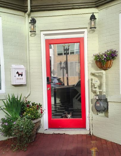 DC Petropolis — mobile dog grooming services in Washington, Washington rated 5.0 stars with 120 reviews