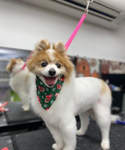 Doggie Do'little "On the Move" Mobile Pet Salon & Spa — mobile dog grooming services in Lancaster, Pennsylvania rated 5.0 ...