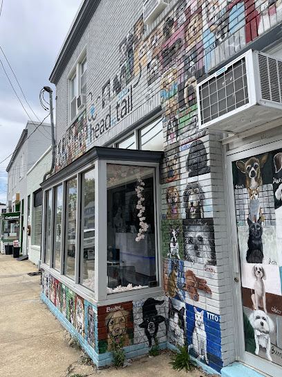 From Head to Tail Grooming Spa — mobile dog grooming services in Alexandria, Washington rated 4.7 stars with 513 reviews