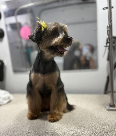 Good Dog Mobile Grooming — mobile dog grooming services in Cumming, Georgia rated 4.5 stars with 171 reviews
