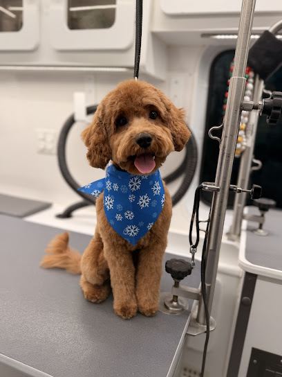 Groom Club — mobile dog grooming services in Nashville, Tennessee rated 5.0 stars with 215 reviews