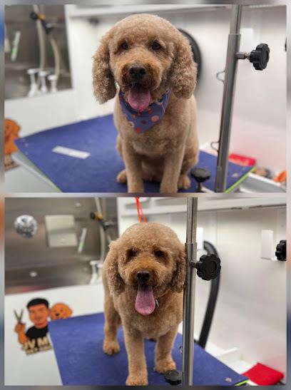 JV Mobile Pet Grooming — mobile dog grooming services in Washington, Washington rated 5.0 stars with 22 reviews