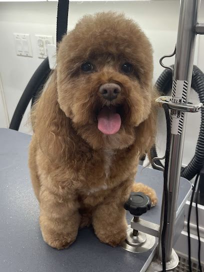 Maryland Elite Dog Spa, LLC — mobile dog grooming services in Glen Burnie, Maryland rated 4.8 stars with 78 reviews