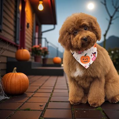 Masterpiece Canine Spa — mobile dog grooming services in Washington, Washington rated 4.6 stars with 125 reviews