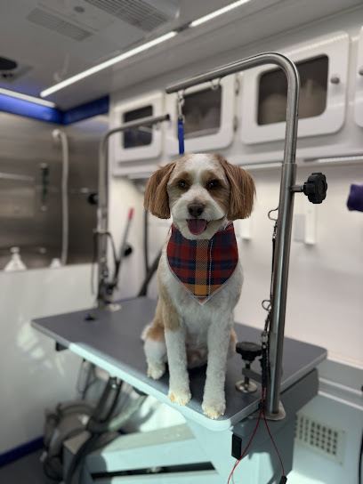 Miss T's Fur Family Mobile Dog Grooming — mobile dog grooming services in Lancaster, Pennsylvania rated 5.0 stars with 68 ...