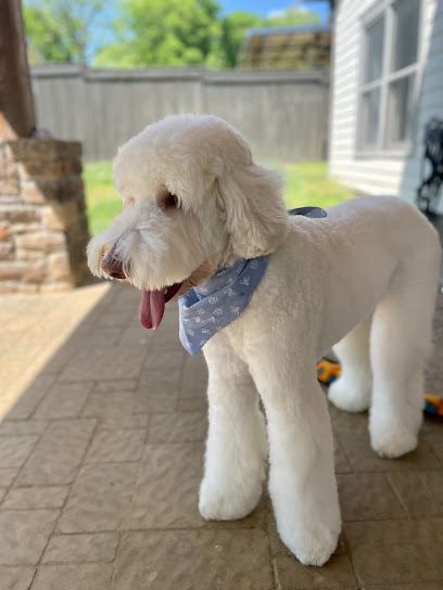 Mobile Pet Spaws, LLC — mobile dog grooming services in Nashville, Tennessee rated 4.9 stars with 321 reviews
