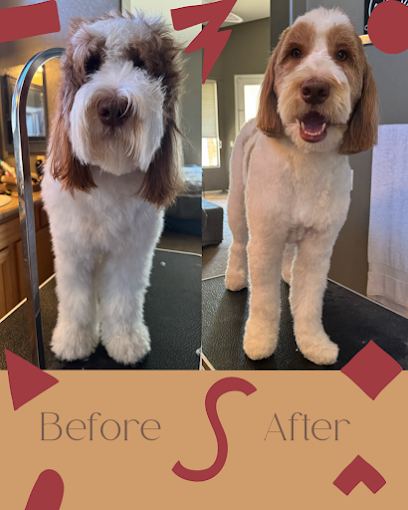 Paws R Us In-Home Mobile Grooming — mobile dog grooming services in Chandler, Arizona rated 4.8 stars with 103 reviews