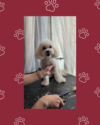 Paws R Us In-Home Mobile Grooming — mobile dog grooming services in Mesa, Arizona rated 5.0 stars with 13 reviews