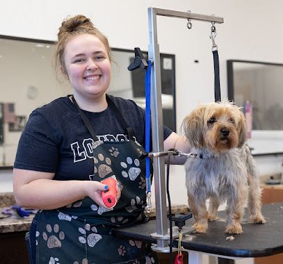 Smoochie Pooch — mobile dog grooming services in Portage, Indiana rated 4.5 stars with 276 reviews