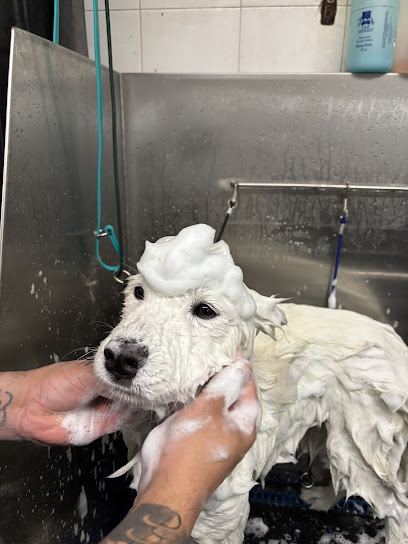 Unleashed Spa Pet Grooming — mobile dog grooming services in New York, New York rated 4.8 stars with 402 reviews