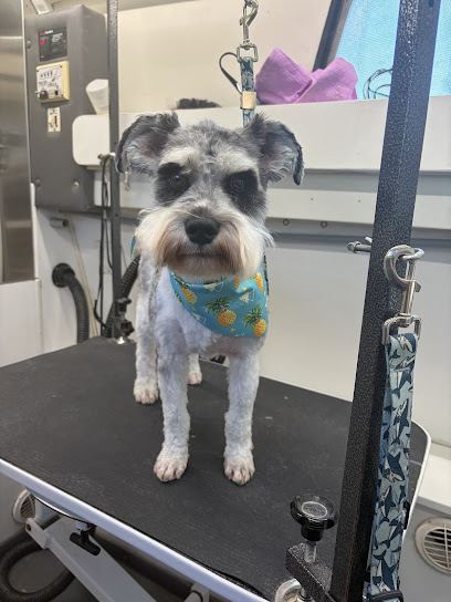Wag-N-Go Mobile Grooming — mobile dog grooming services in Medina, Ohio rated 5.0 stars with 11 reviews